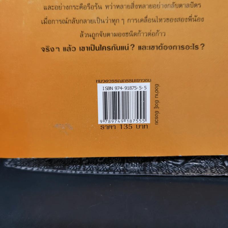 บ้านดวงตาปริศนา - Thomas Bloor รูปที่ 11