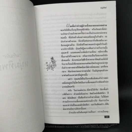 หนุ่มทิพย์ - แก้วเก้า รูปที่ 9