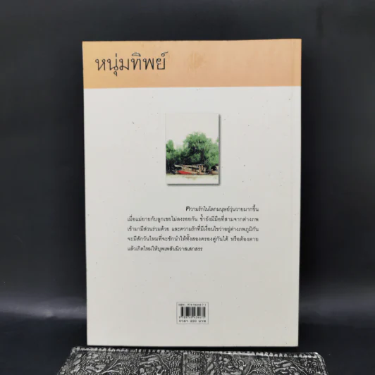 หนุ่มทิพย์ - แก้วเก้า รูปที่ 2