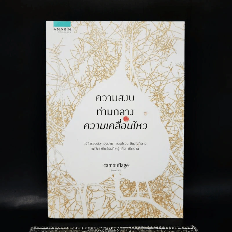 ความสงบท่ามกลางความเคลื่อนไหว - Camouflage รูปที่ 1