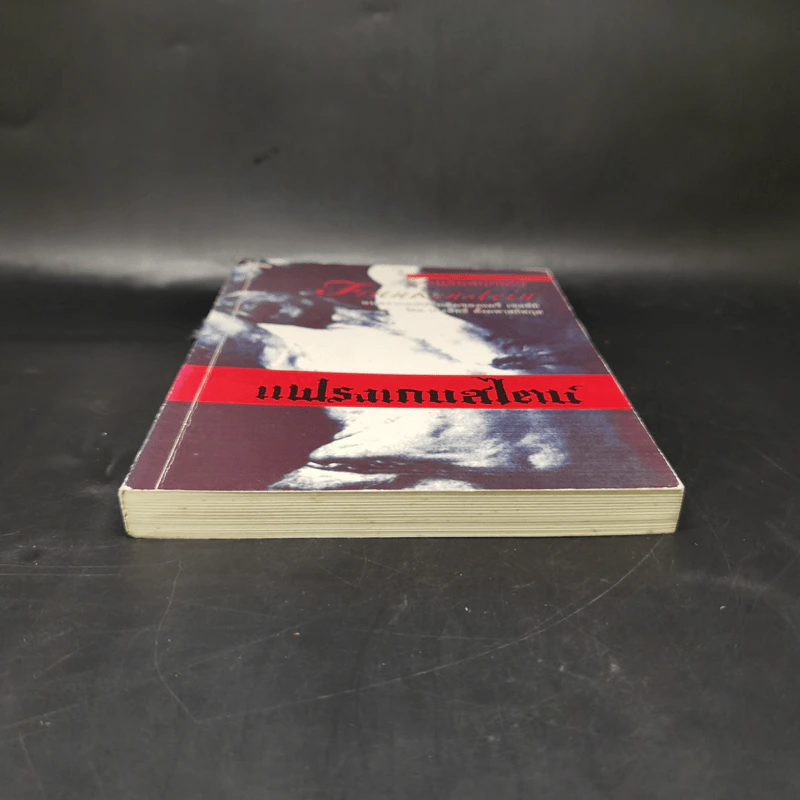 Frankenstein แฟรงเกนสไตน์ - Mary Shelley รูปที่ 4