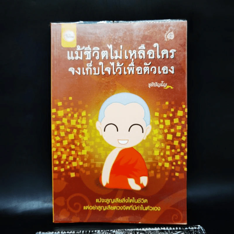 แม้ชีวิตไม่เหลือใคร จงเก็บใจไว้เพื่อตัวเอง - ชุติปัญโญ รูปที่ 1