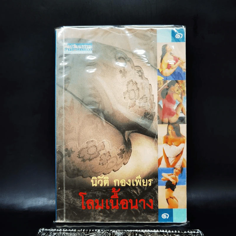 โลมเนื้อนาง - นิวัติ กองเพียร รูปที่ 1