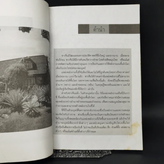 บ้านตามหลักฮวงจุ้ย - พัชรี ดนัยกิติกุล รูปที่ 10