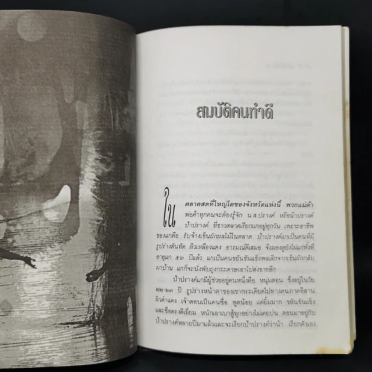 บนเส้นทางกรรม - ศักดิ์ระพี รูปที่ 10