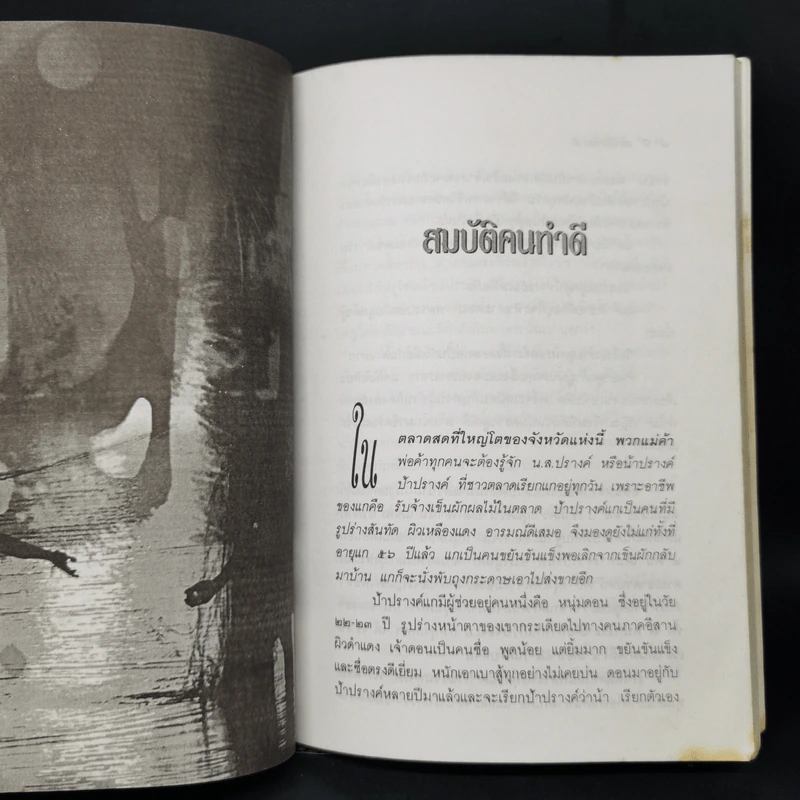 บนเส้นทางกรรม - ศักดิ์ระพี รูปที่ 10