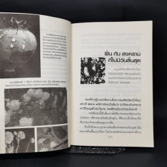 จากโพ้นทะเลสู่กรุงสยาม จากจับกังมาเป็นมาเฟีย... 2425 อั้งยี่ครองเมือง - สังคีต จันทนะโพธิ รูปที่ 11
