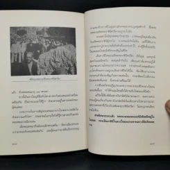 ฟารีดา...ต้นรัก กิ่งโศก - วราวุธ รูปที่ 11