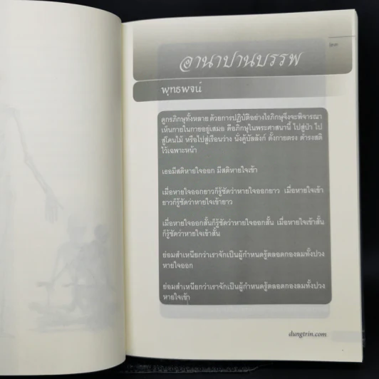 มหาสติปัฏฐานสูตร - ดังตฤณ รูปที่ 11