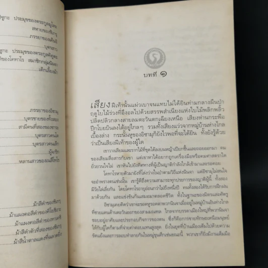 เทลส์ ออฟ ดิ โอโตริ ปฐมภาค : ลิขิตแห่งสวรรค์ - ลิอัน เฮิร์น รูปที่ 10