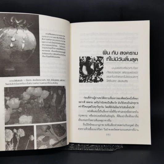 จากโพ้นทะเลสู่กรุงสยาม จากจับกังมาเป็นมาเฟีย... 2425 อั้งยี่ครองเมือง - สังคีต จันทนะโพธิ รูปที่ 11