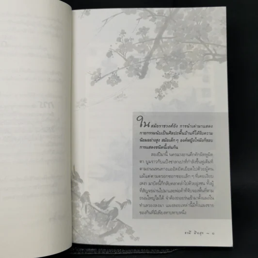 องค์หญิงไท่ผิง - ธานี ปิยสุข รูปที่ 10