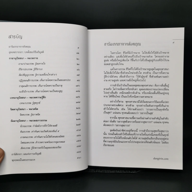 มหาสติปัฏฐานสูตร - ดังตฤณ รูปที่ 9
