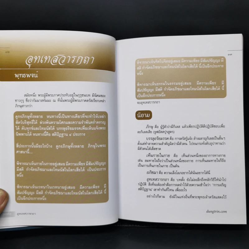 มหาสติปัฏฐานสูตร - ดังตฤณ รูปที่ 10
