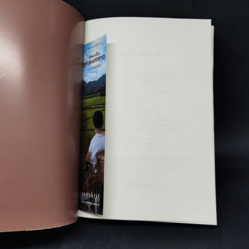 เกิดมาเป็นลูกคนกลาง The Third Son - จูลี่ วู รูปที่ 12