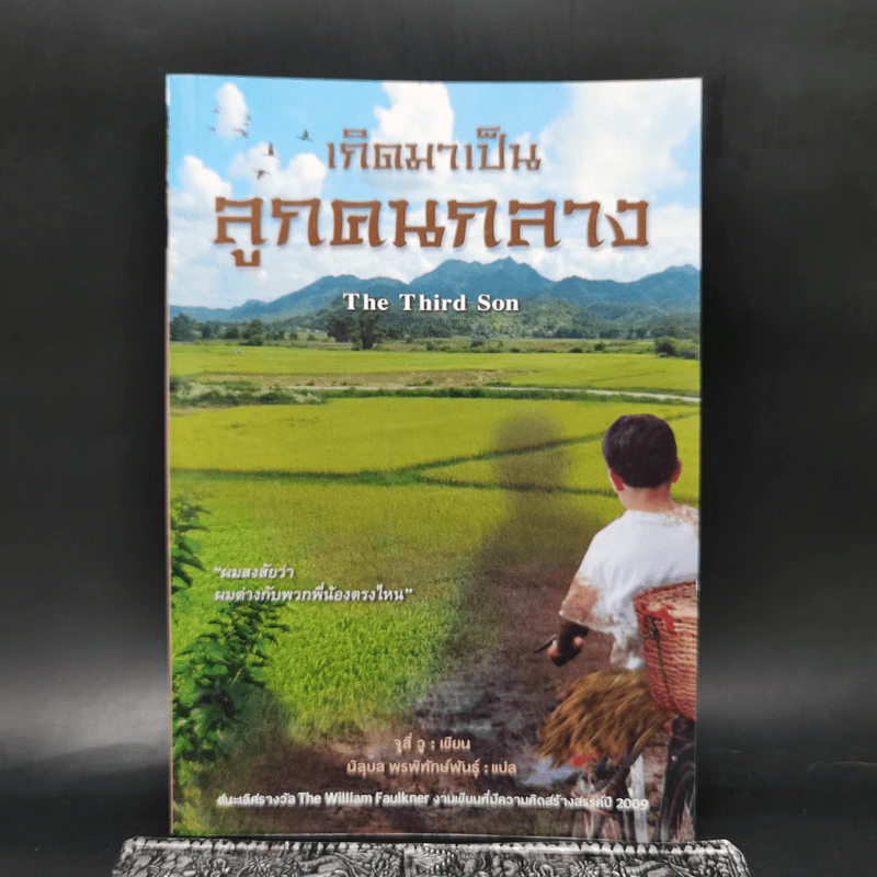 เกิดมาเป็นลูกคนกลาง The Third Son - จูลี่ วู รูปที่ 1