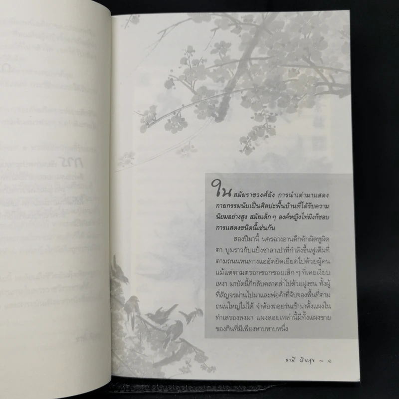 องค์หญิงไท่ผิง - ธานี ปิยสุข รูปที่ 10