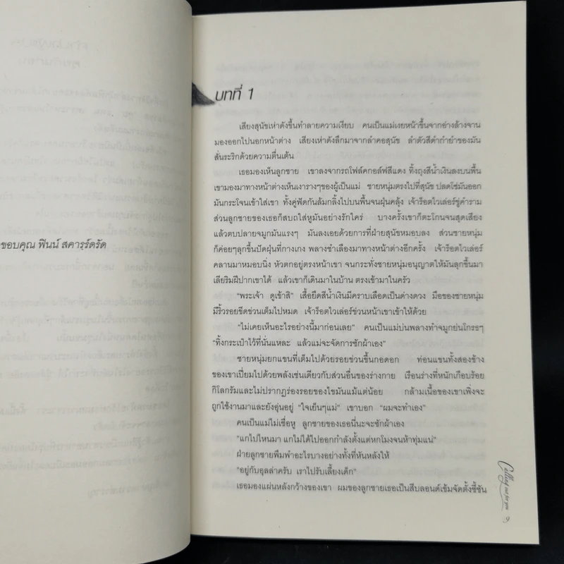 ส่าหรีสีเลือด - คาริน ฟอสซั่ม รูปที่ 9