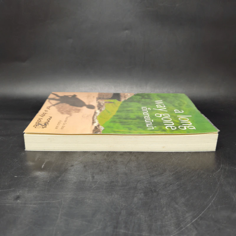เด็กชายนักฆ่า A Long Way Gone - อิชมาเอล บีช รูปที่ 5