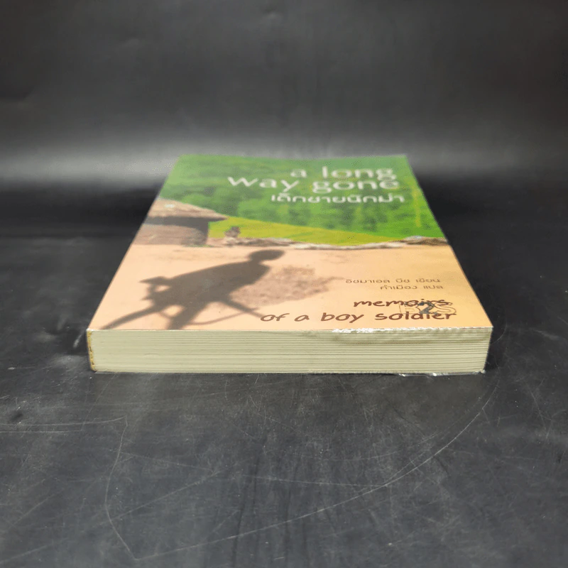 เด็กชายนักฆ่า A Long Way Gone - อิชมาเอล บีช รูปที่ 4