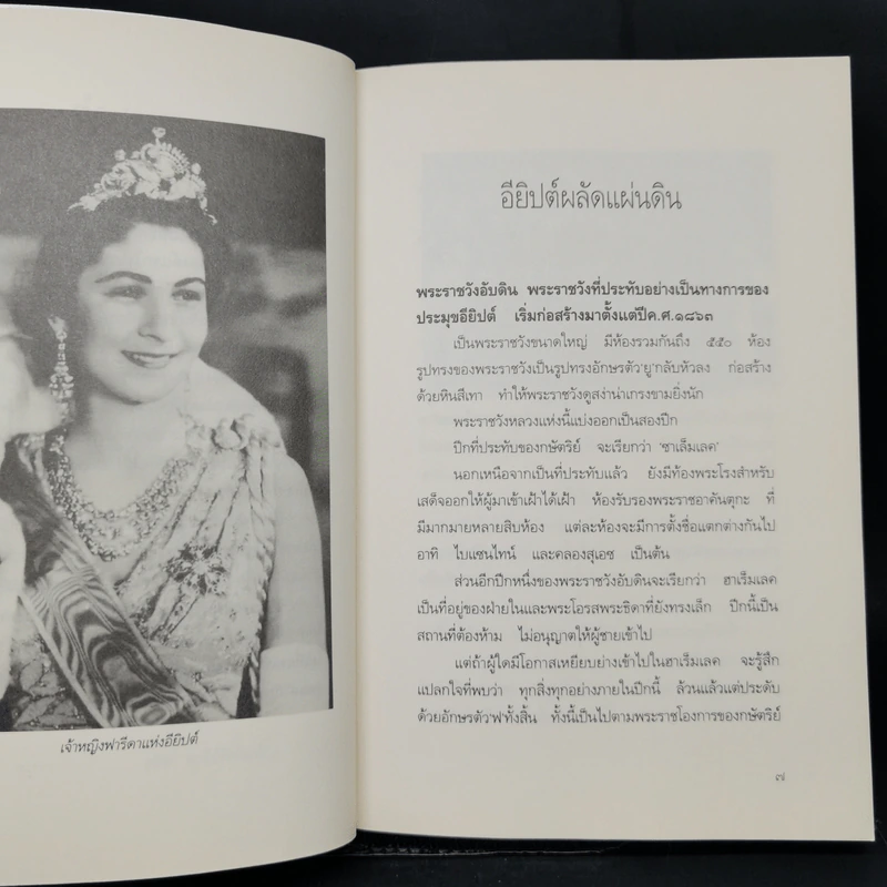 ฟารีดา...ต้นรัก กิ่งโศก - วราวุธ รูปที่ 10