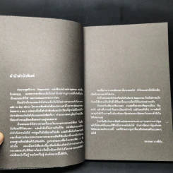 Improvise - ทรงศีล ทิวสมบุญ รูปที่ 10