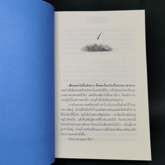 เนปาล มัณฑาลา - ช่อลัดา รูปที่ 10