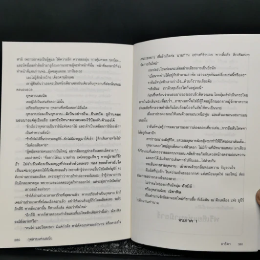 กุหลาบแห่งเซเนีย - อาริตา รูปที่ 10