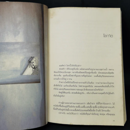 โลกจิต - แทนไท ประเสริฐกุล รูปที่ 13