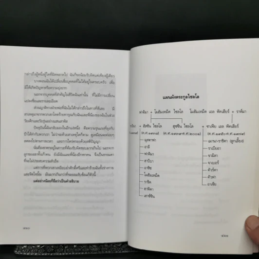 น้ำตาพระจันทร์ - คัวร์ดา ไซลโล, แก้ว พิกุล รูปที่ 12