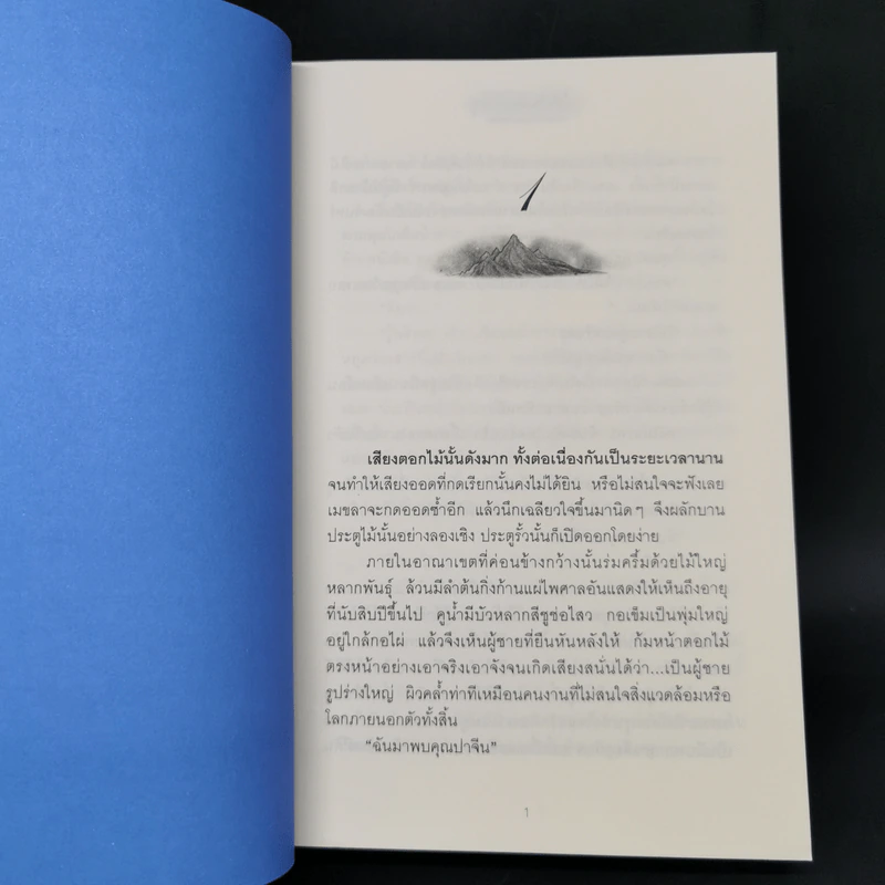 เนปาล มัณฑาลา - ช่อลัดา รูปที่ 10