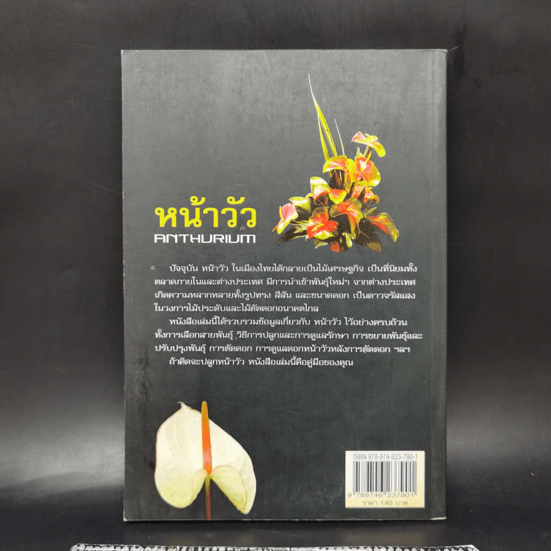 หน้าวัว Anthurium ดาวจรัสแสงแห่งไม้ประดับไม้ตัดดอก - พฤกษทล รูปที่ 2