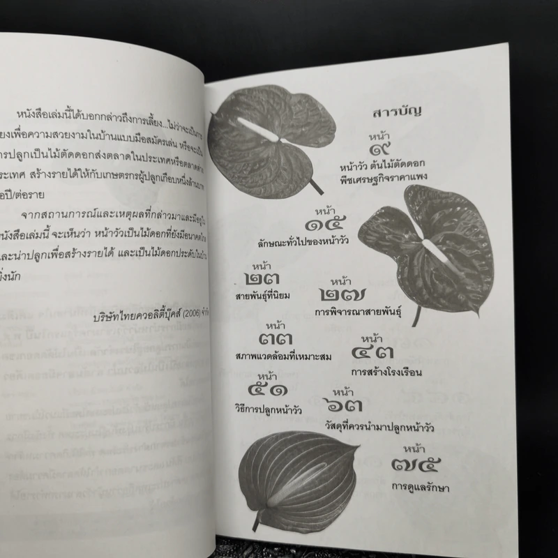 หน้าวัว Anthurium ดาวจรัสแสงแห่งไม้ประดับไม้ตัดดอก - พฤกษทล รูปที่ 9