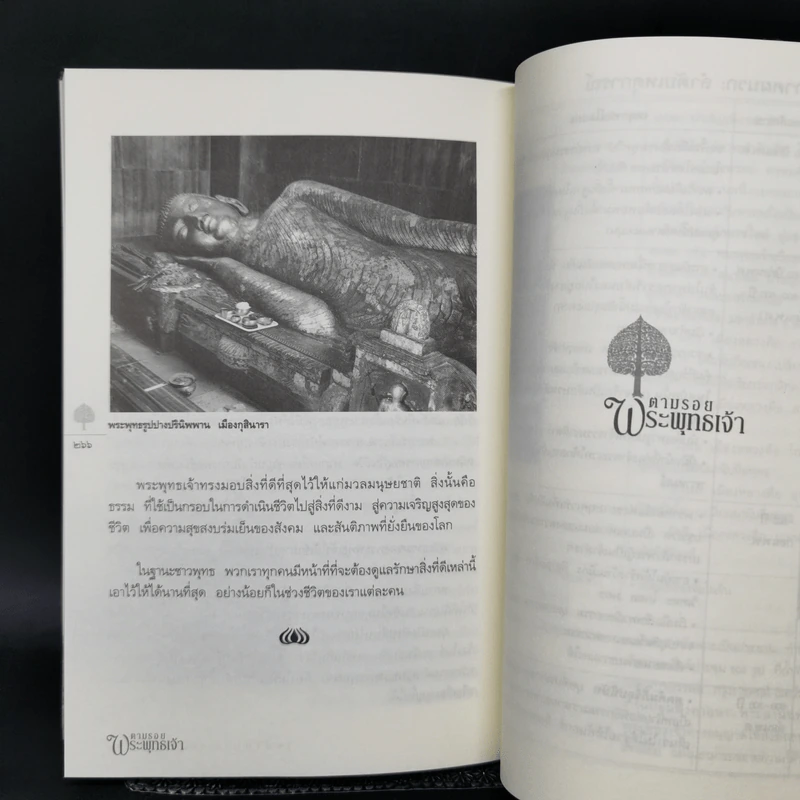 ตามรอยพระพุทธเจ้า - ลักษณา จีระจันทร์ รูปที่ 13