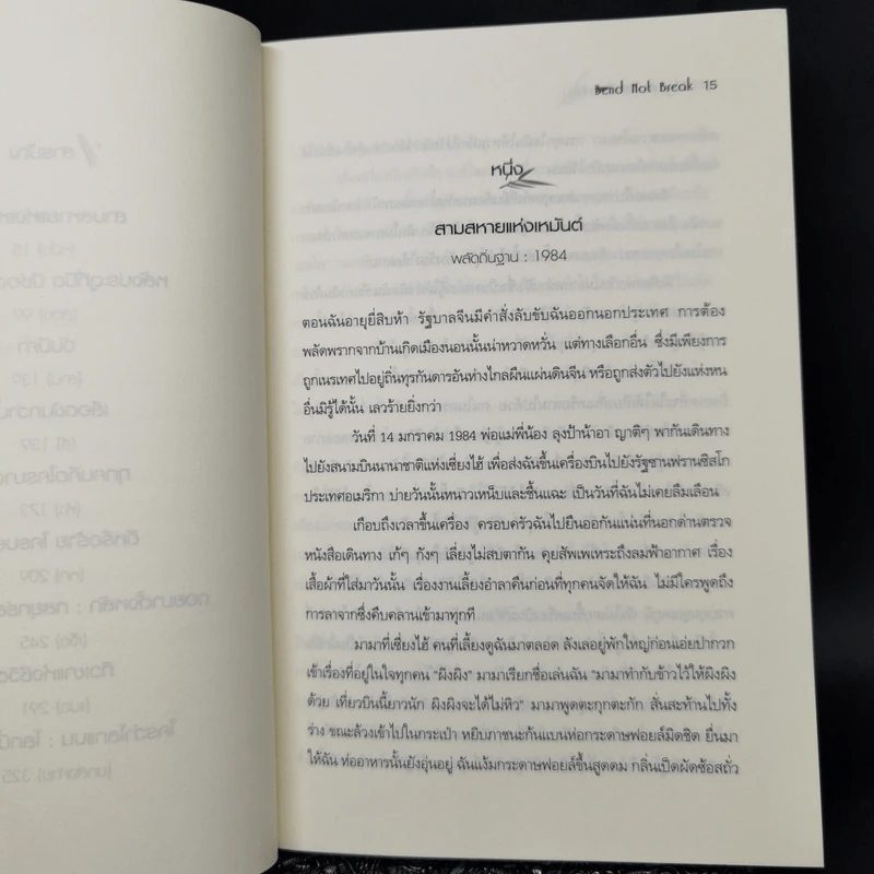 ผิงฟู ผู้ไม่ยอมแพ้ - ผิง ฟู, เหมยเหมย ฟ็อกซ์ รูปที่ 11