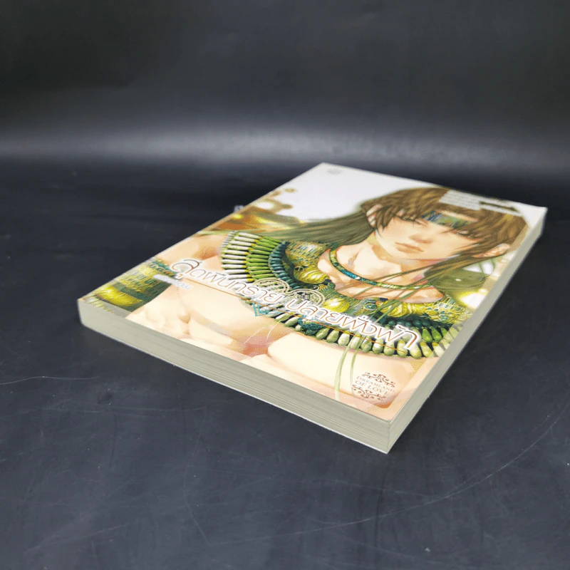 นิยายแจ่มใส สุดผืนทราย ปลายฝั่งฟ้า - อะมีราห์ รูปที่ 7