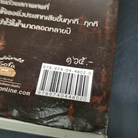 นางชฎา - ภาคินัย รูปที่ 13