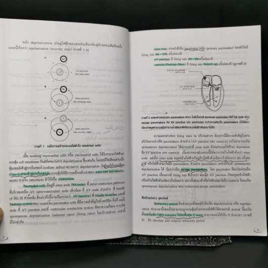 Electrocardiography for medical student sixth edition - อภิชาต สุคนธสรรพ์ รูปที่ 12