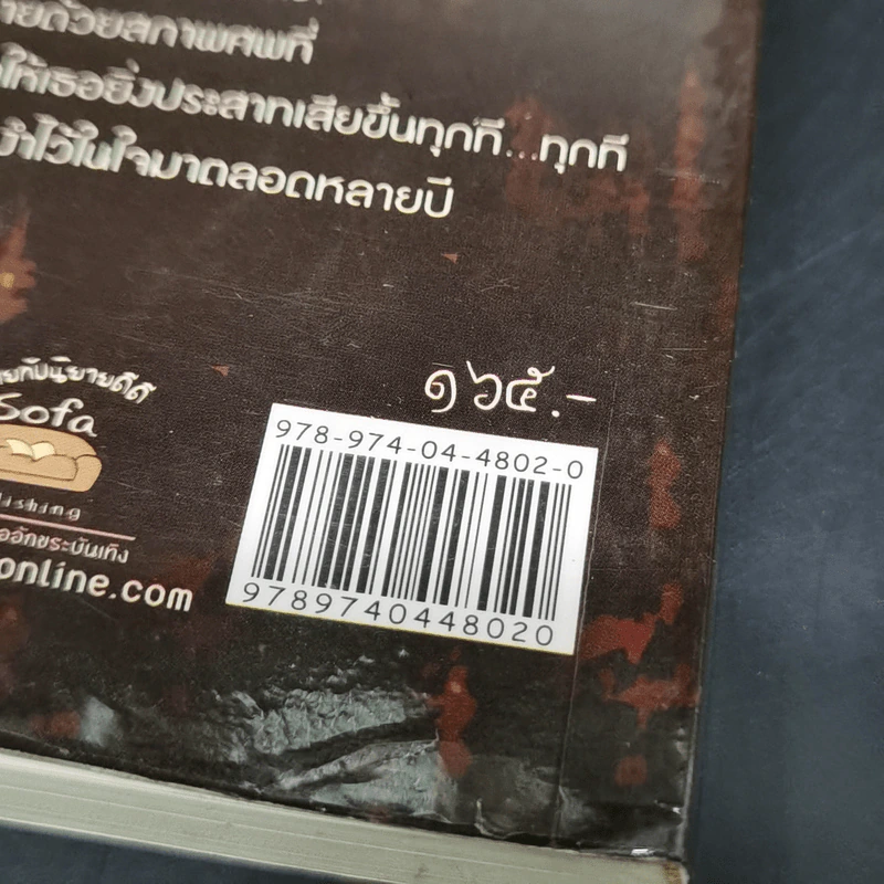นางชฎา - ภาคินัย รูปที่ 13