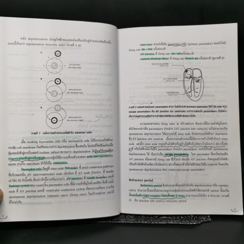 Electrocardiography for medical student sixth edition - อภิชาต สุคนธสรรพ์ รูปที่ 12