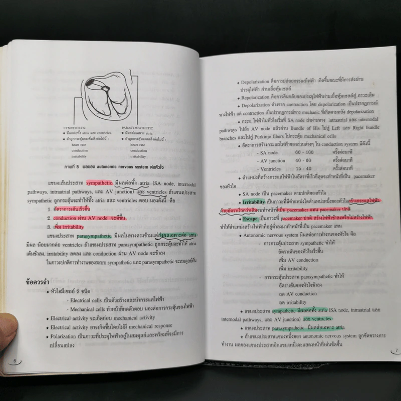 Electrocardiography for medical student sixth edition - อภิชาต สุคนธสรรพ์ รูปที่ 13