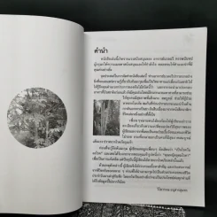 นาฬิกาชีวิต เล่ม 1-2 + นาฬิกาชีวิต ตอน 2 มะรุมต้นไม้เพื่อชีวิต รูปที่ 12