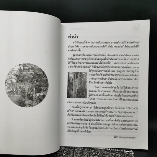 นาฬิกาชีวิต เล่ม 1-2 + นาฬิกาชีวิต ตอน 2 มะรุมต้นไม้เพื่อชีวิต รูปที่ 12