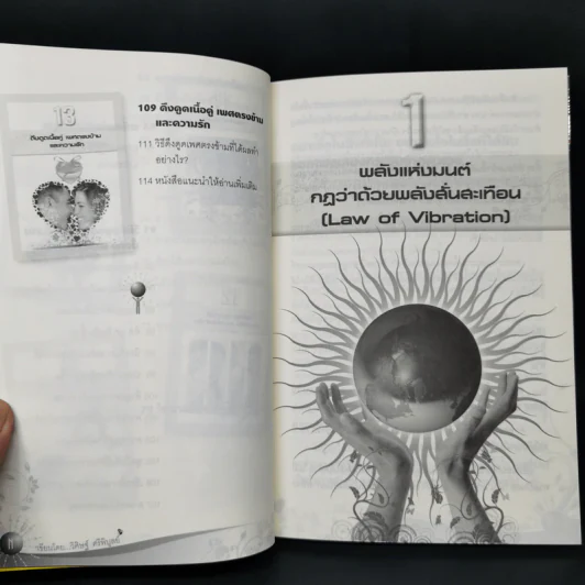 Law of Vibration มนตราสั่นสะเทือน พลังเนรมิตภาคสมบูรณ์ - วิศิษฐ์ ศรีพิบูลย์ รูปที่ 13