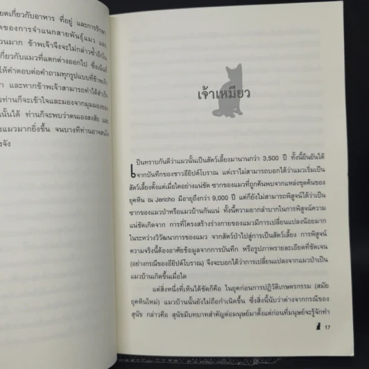 คลายกังขาปัญหาแมวเหมียว - เดสมอนด์ มอร์ริส รูปที่ 11