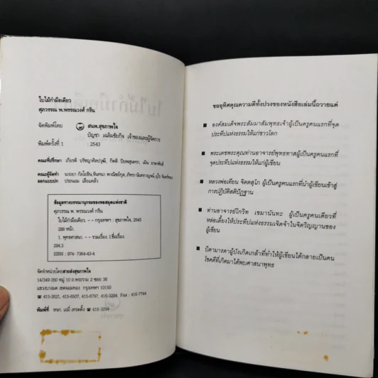 ใบไม้กำมือเดียว - ศุภวรรณ พิพัฒพรรณวงศ์ กรีน รูปที่ 8
