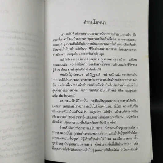 ใบไม้กำมือเดียว - ศุภวรรณ พิพัฒพรรณวงศ์ กรีน รูปที่ 10