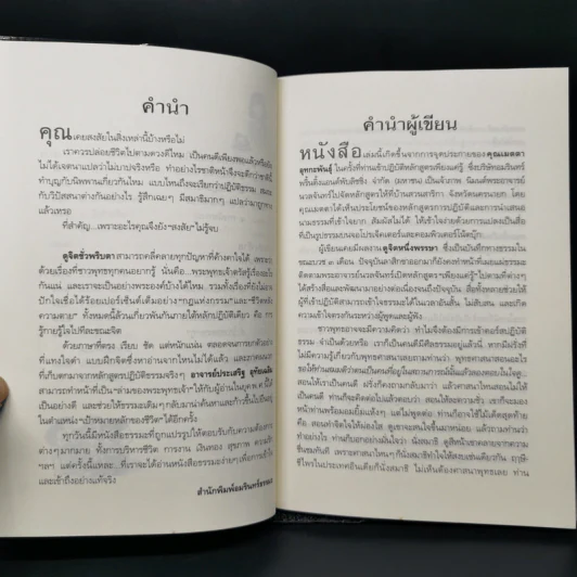 ดูจิตชั่วพริบตา - ปัญญาวโรภิกขุ (ประเสริฐ อุทัยเฉลิม) รูปที่ 10