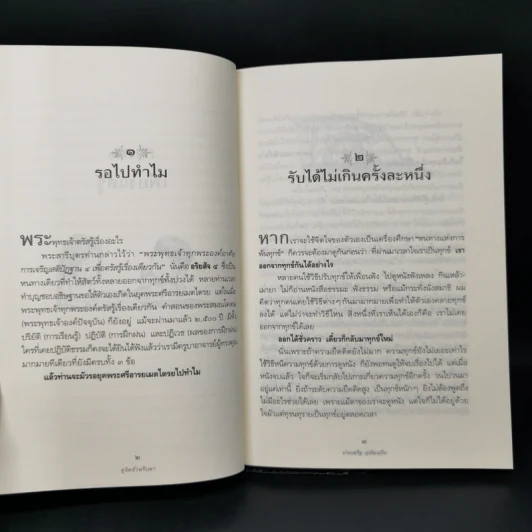 ดูจิตชั่วพริบตา - ปัญญาวโรภิกขุ (ประเสริฐ อุทัยเฉลิม) รูปที่ 11