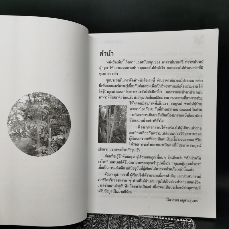 นาฬิกาชีวิต เล่ม 1-2 + นาฬิกาชีวิต ตอน 2 มะรุมต้นไม้เพื่อชีวิต รูปที่ 12